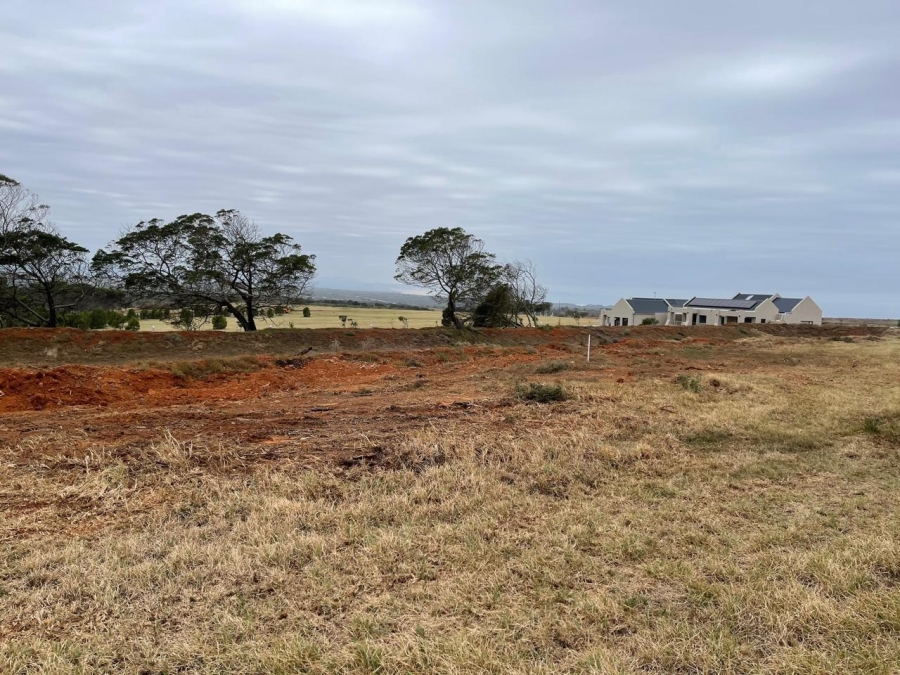 0 Bedroom Property for Sale in Hankey Rural Eastern Cape